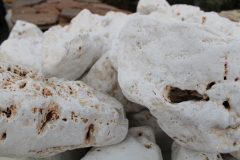 47 Roccia Calcarea antichizzata
