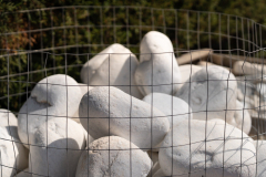 61 Ciottolo Bianco Carrara
